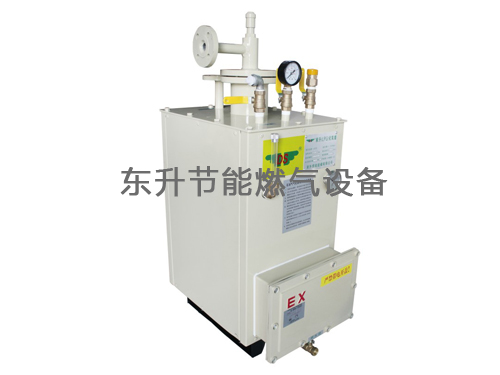 绿巨人污黄污色啪污资源入口(LPG)防爆型绿巨人黑科技下载器(DS30—50kg／h)